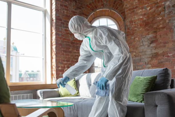 Why You Should Choose Our Mold Remediation Services in Somerville, TX